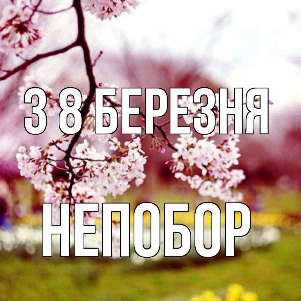 Открытка на каждый день з підписом, Непобор З 8 БЕРЕЗНЯ яблоня Прикольна листівка з побажанням онлайн скачати безкоштовно 