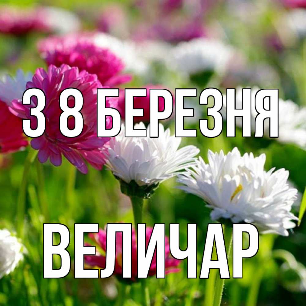 Открытка на каждый день з підписом, Величар З 8 БЕРЕЗНЯ международный женский день 1 Прикольна листівка з побажанням онлайн скачати безкоштовно 