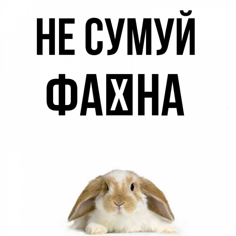 Открытка на каждый день з підписом, Фаїна Не сумуй коричнево белый заяц с большими ушками Прикольна листівка з побажанням онлайн скачати безкоштовно 