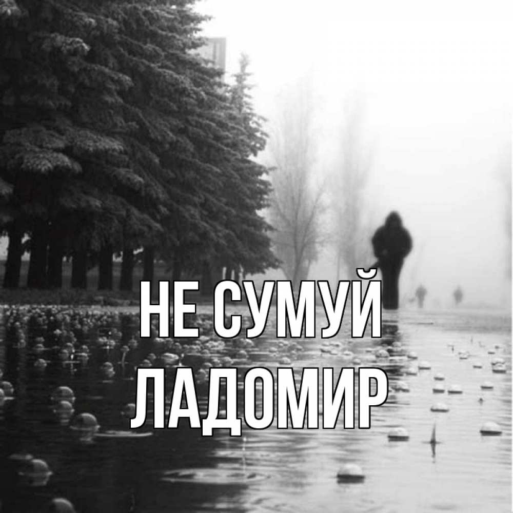 Открытка на каждый день з підписом, Ладомир Не сумуй улица под дождем Прикольна листівка з побажанням онлайн скачати безкоштовно 