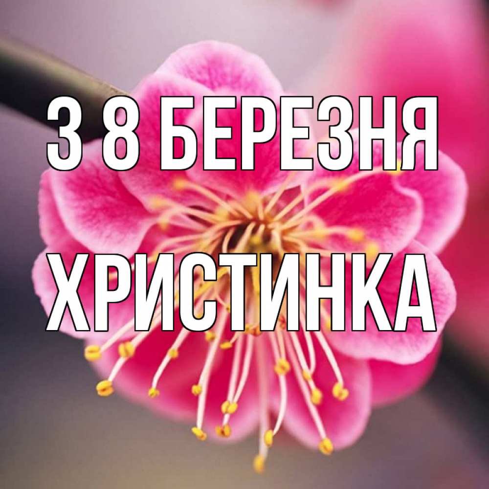 Открытка на каждый день з підписом, Христинка З 8 БЕРЕЗНЯ цветы Прикольна листівка з побажанням онлайн скачати безкоштовно 