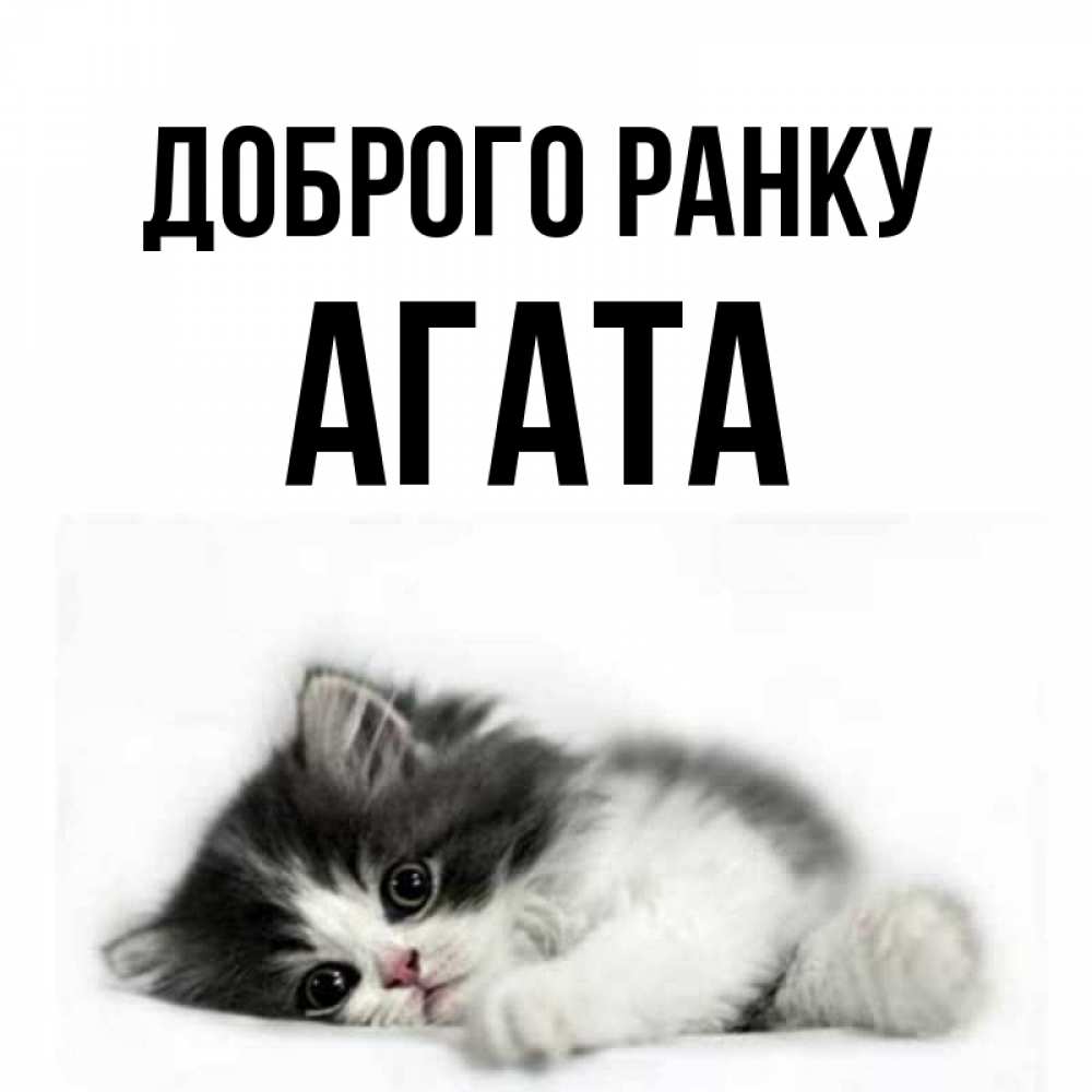 Открытка на каждый день з підписом, Агата Доброго ранку кот лапки Прикольна листівка з побажанням онлайн скачати безкоштовно 