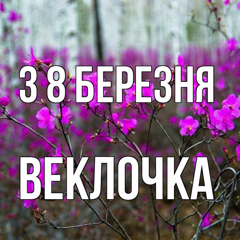 Открытка на каждый день з підписом, Веклочка З 8 БЕРЕЗНЯ дикие цветы Прикольна листівка з побажанням онлайн скачати безкоштовно 