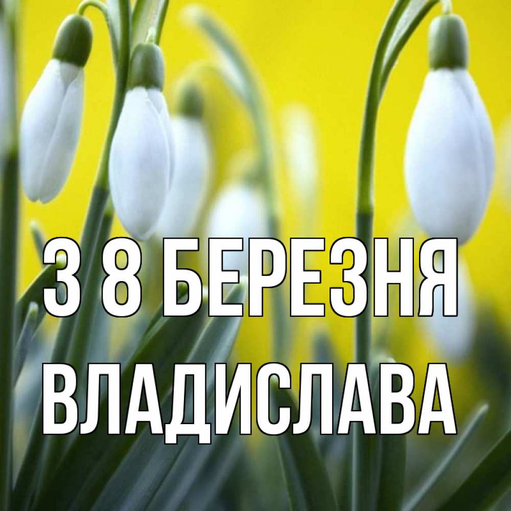 Открытка на каждый день з підписом, Владислава З 8 БЕРЕЗНЯ весенние цветы Прикольна листівка з побажанням онлайн скачати безкоштовно 