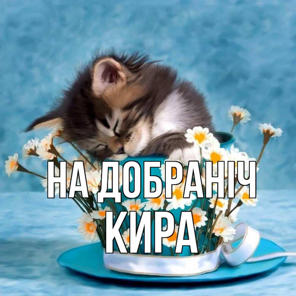 Открытка на каждый день з підписом, Кира На добраніч котенок спит в кружке с блюдцем Прикольна листівка з побажанням онлайн скачати безкоштовно 