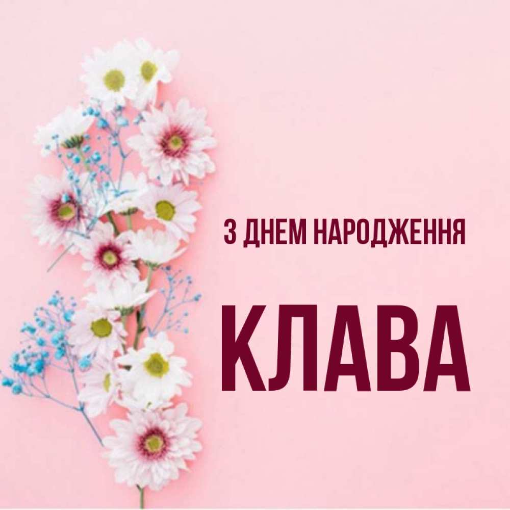 Открытка на каждый день з підписом, Клава З Днем народження Родная моя с днем рождения тебя картинка с цветами белыми и голубыми Прикольна листівка з побажанням онлайн скачати безкоштовно 