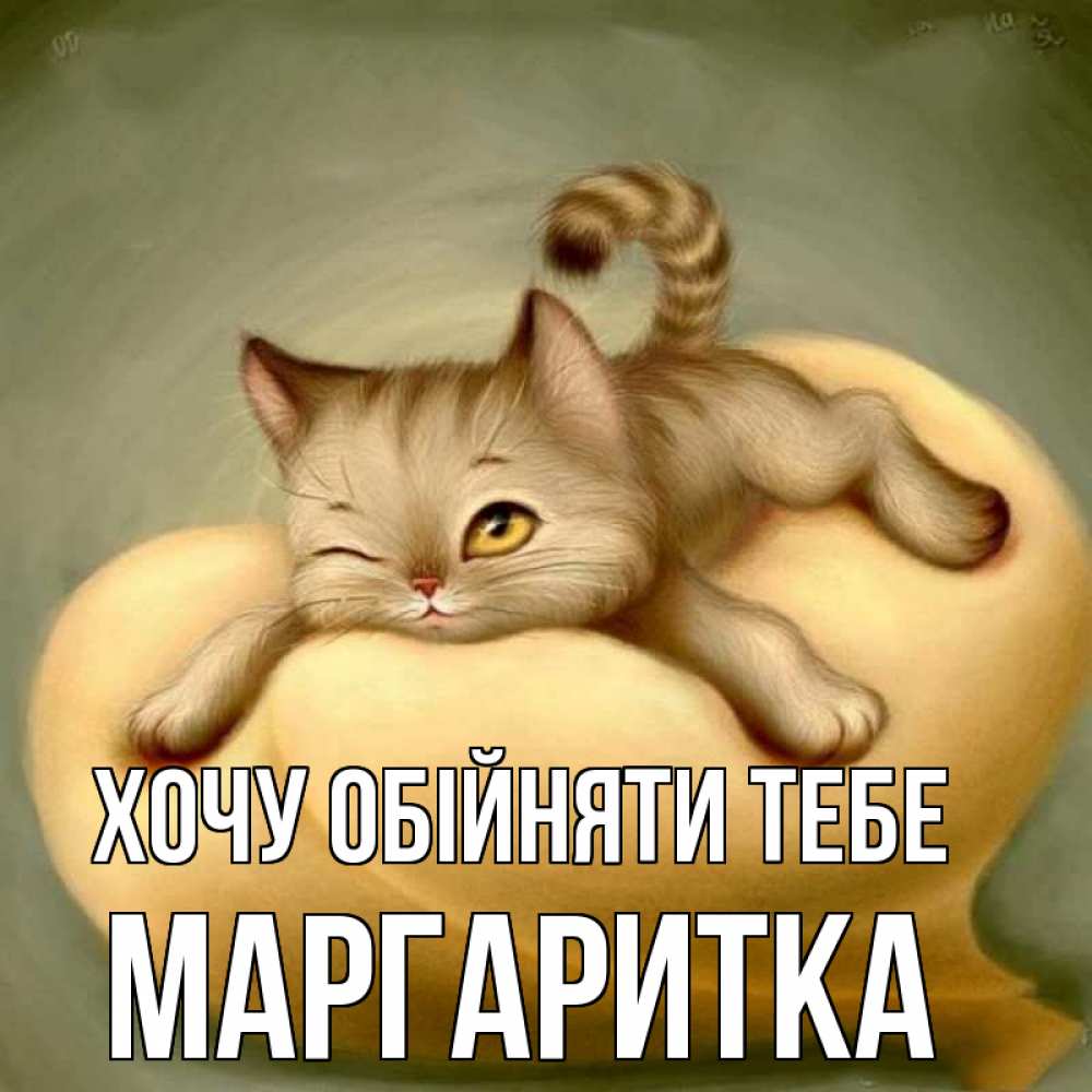 Открытка на каждый день з підписом, Маргаритка Хочу обійняти тебе кошечка Прикольна листівка з побажанням онлайн скачати безкоштовно 