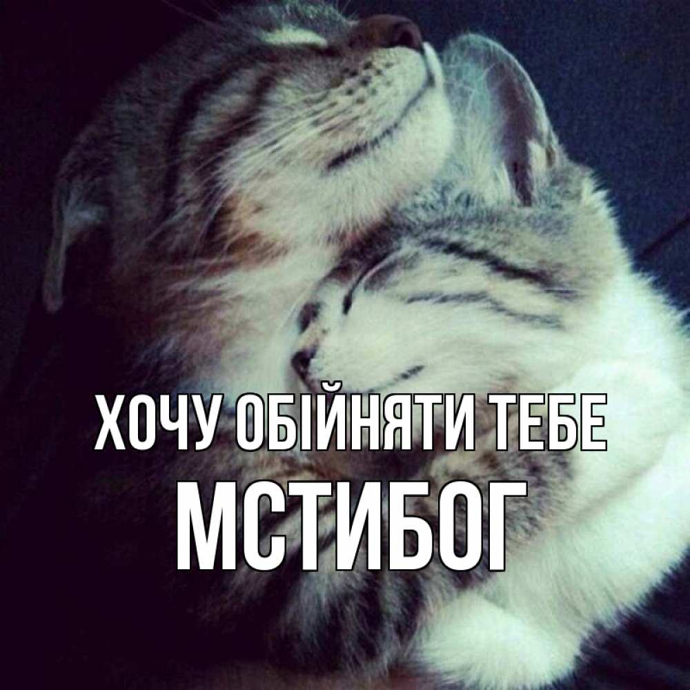 Открытка на каждый день з підписом, Мстибог Хочу обійняти тебе полосатики Прикольна листівка з побажанням онлайн скачати безкоштовно 