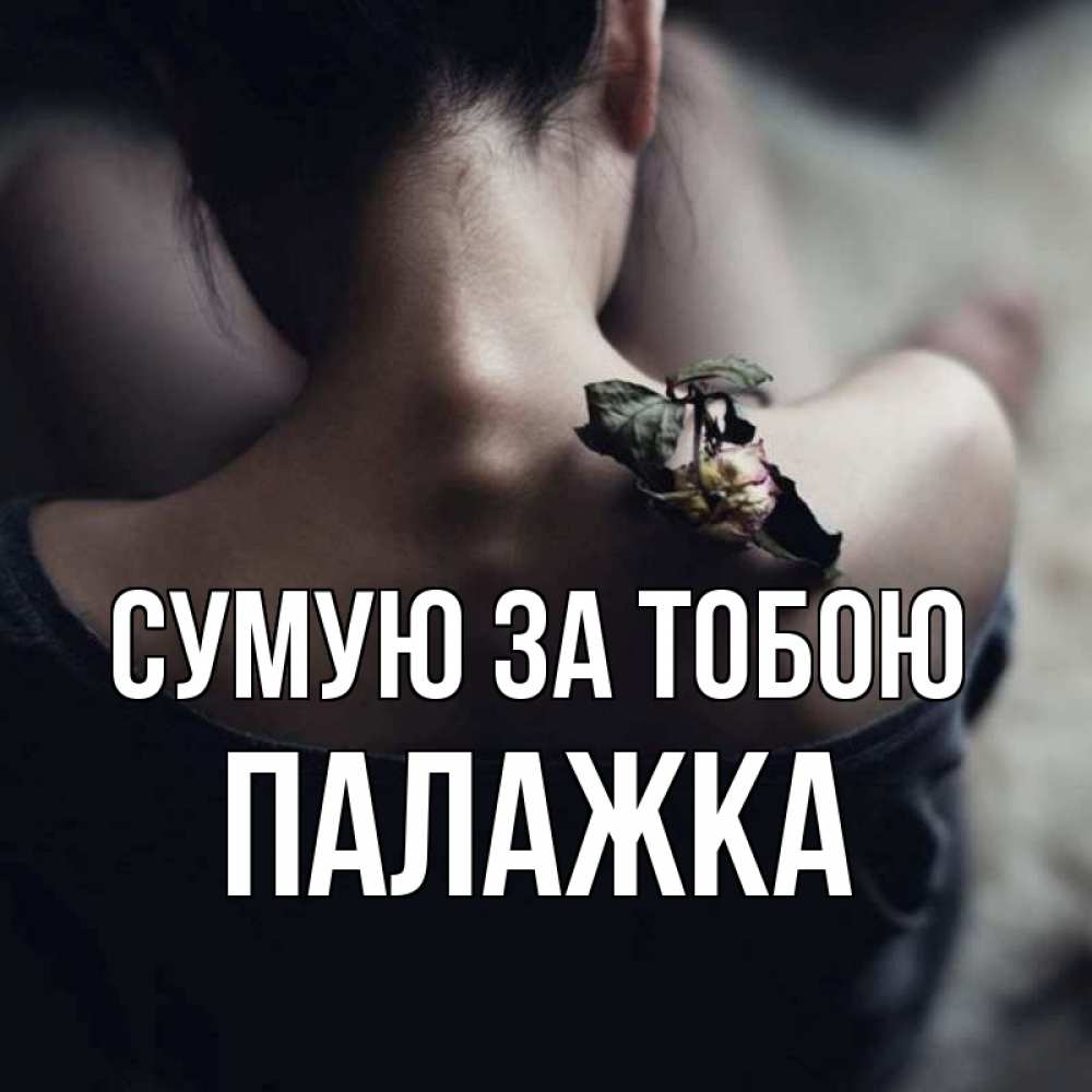 Открытка на каждый день з підписом, Палажка Сумую за тобою засох цветок Прикольна листівка з побажанням онлайн скачати безкоштовно 