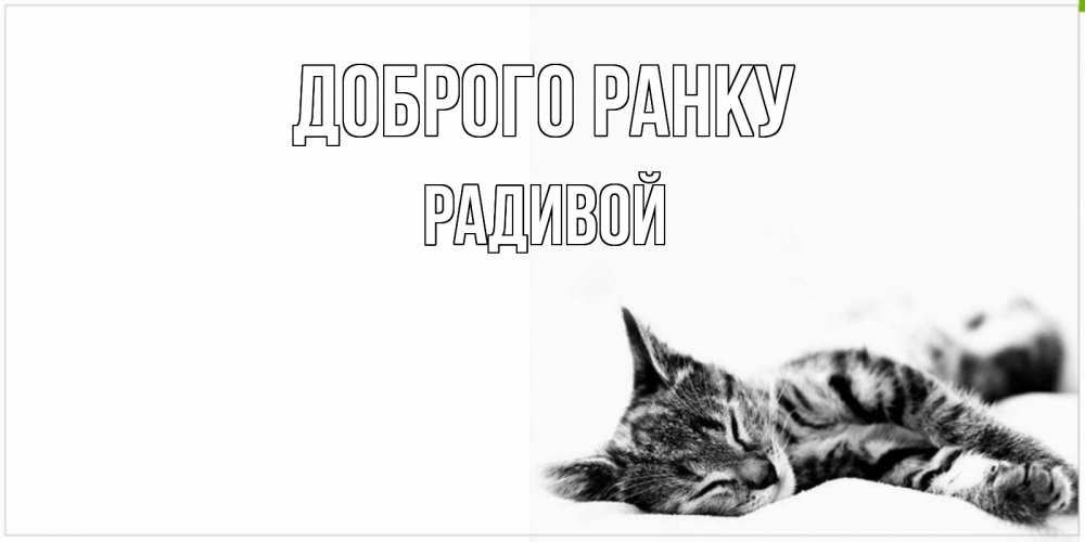 Открытка на каждый день з підписом, Радивой Доброго ранку котуся Прикольна листівка з побажанням онлайн скачати безкоштовно 