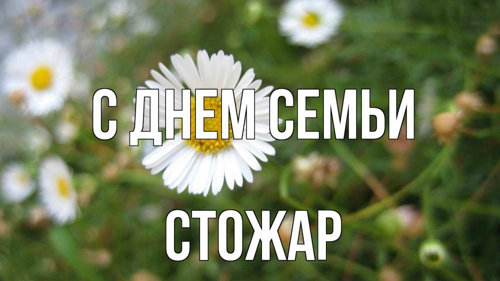 Открытка на каждый день з підписом, Стожар С днем семьи с днем семьи Прикольна листівка з побажанням онлайн скачати безкоштовно 