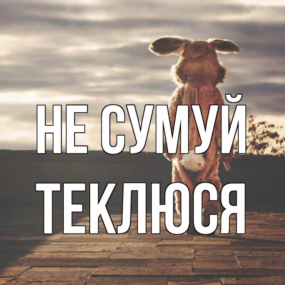 Открытка на каждый день з підписом, Теклюся Не сумуй со спины Прикольна листівка з побажанням онлайн скачати безкоштовно 