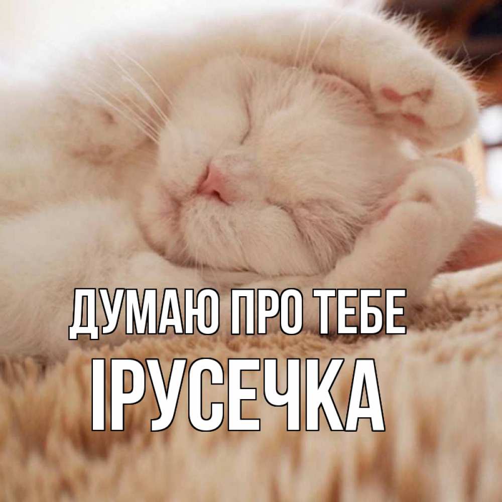 Открытка на каждый день з підписом, Ірусечка Думаю про тебе для любимой девушки милота Прикольна листівка з побажанням онлайн скачати безкоштовно 