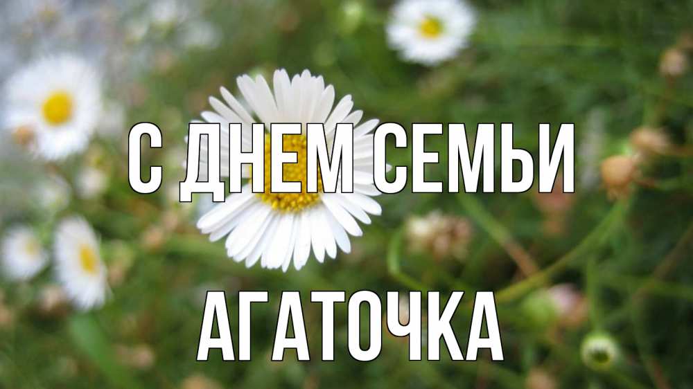 Открытка на каждый день з підписом, Агаточка С днем семьи с днем семьи Прикольна листівка з побажанням онлайн скачати безкоштовно 