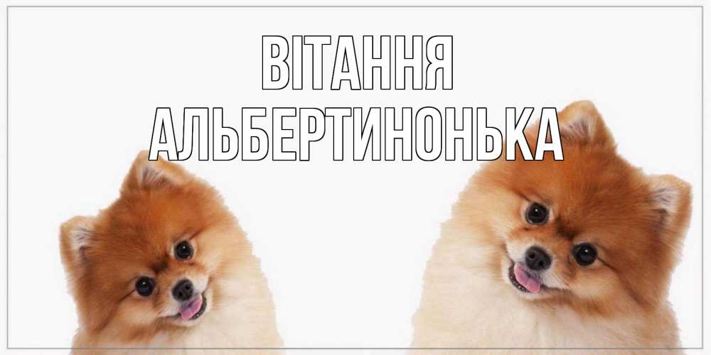 Открытка на каждый день з підписом, Альбертинонька Вітання привет Прикольна листівка з побажанням онлайн скачати безкоштовно 