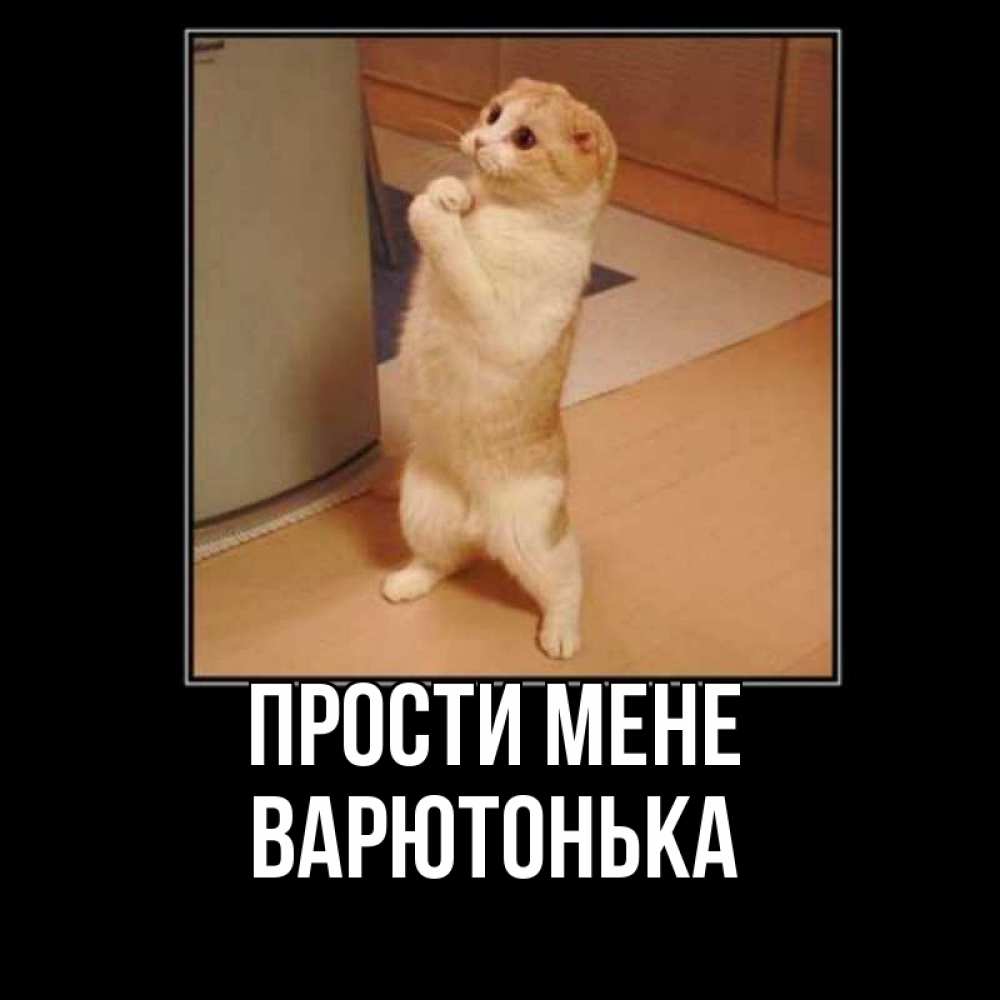 Открытка на каждый день з підписом, Варютонька Прости мене открытка с милым несчастным котиком просящим прощения Прикольна листівка з побажанням онлайн скачати безкоштовно 