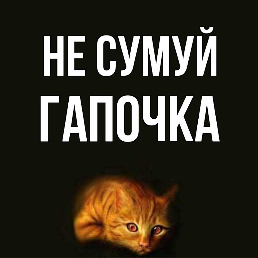 Открытка на каждый день з підписом, Гапочка Не сумуй лежащий кот в темноте Прикольна листівка з побажанням онлайн скачати безкоштовно 