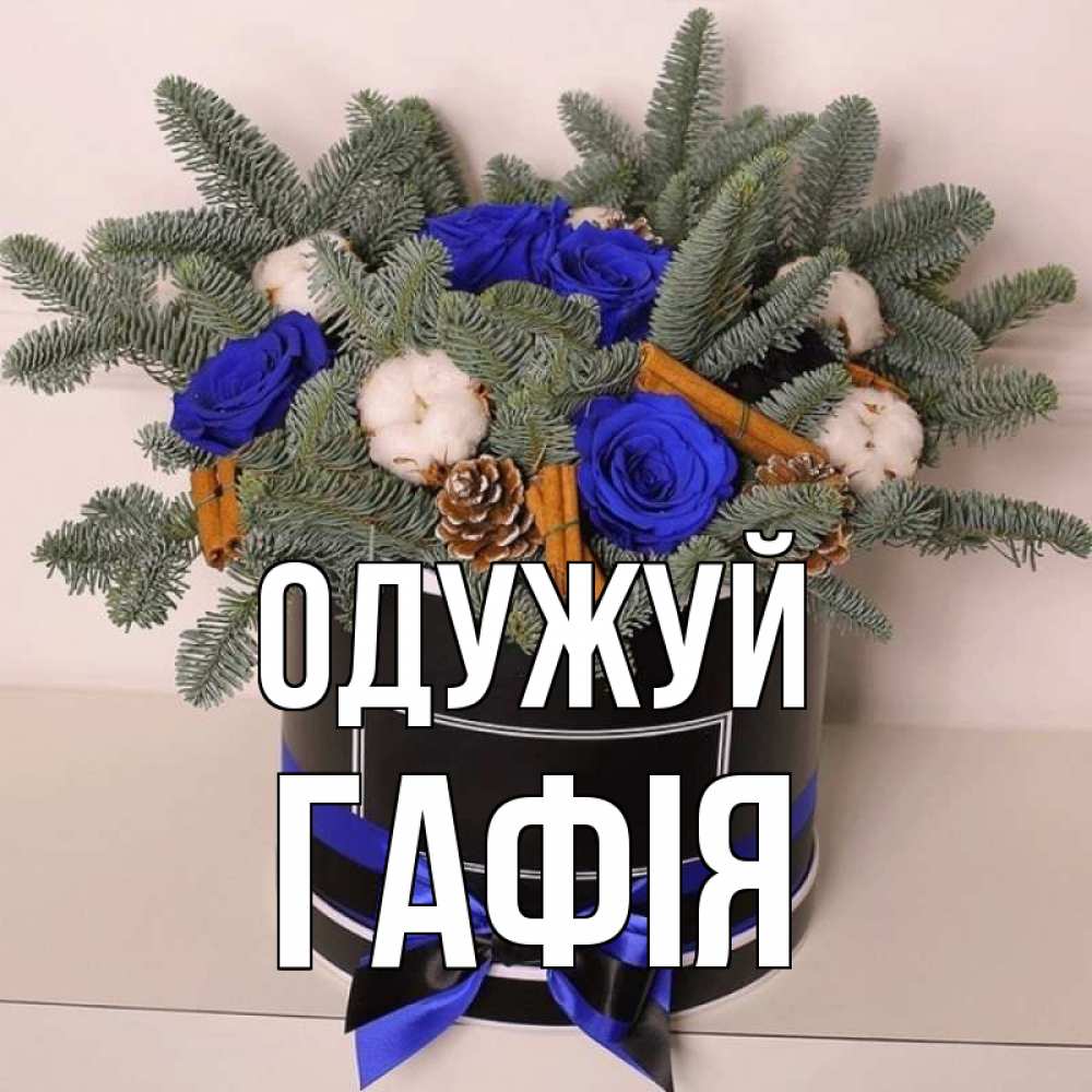 Открытка на каждый день з підписом, Гафія Одужуй короче кто то загрузил эти шишки Прикольна листівка з побажанням онлайн скачати безкоштовно 