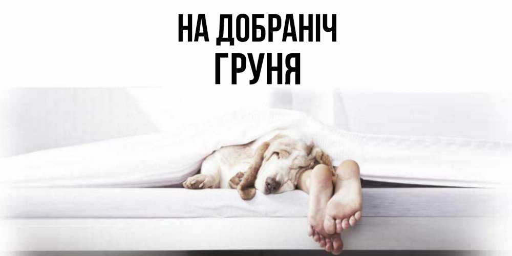 Открытка на каждый день з підписом, Груня На добраніч кровать с собакой пожелание сладких снов и спокойной ночи Прикольна листівка з побажанням онлайн скачати безкоштовно 