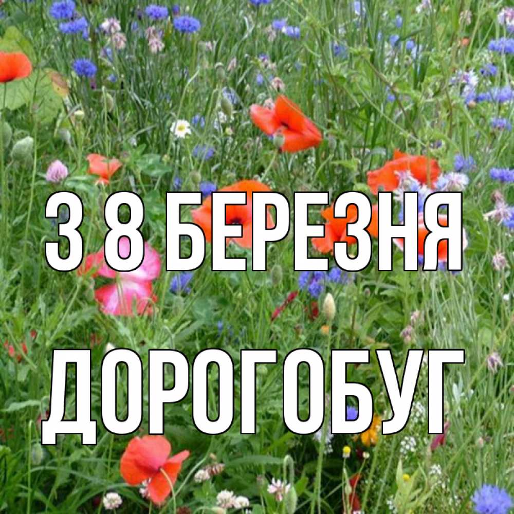 Открытка на каждый день з підписом, Дорогобуг З 8 БЕРЕЗНЯ международный женский день 4 Прикольна листівка з побажанням онлайн скачати безкоштовно 