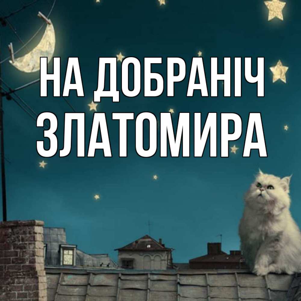 Открытка на каждый день з підписом, Златомира На добраніч белый кот сидит на крыше Прикольна листівка з побажанням онлайн скачати безкоштовно 
