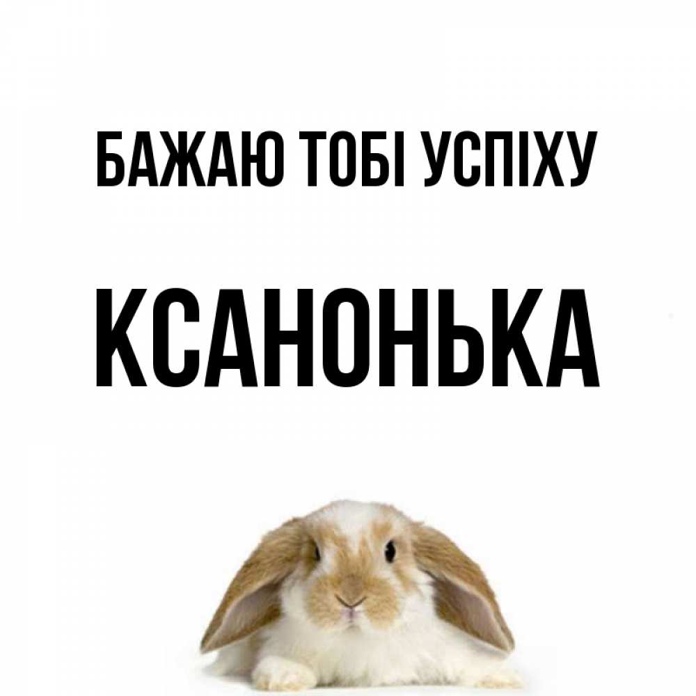 Открытка на каждый день з підписом, Ксанонька Бажаю тобі успіху открытки с произвольным текстом который можно вставить в открытку и создать ее самостоятельно бесплатно онлайн Прикольна листівка з побажанням онлайн скачати безкоштовно 