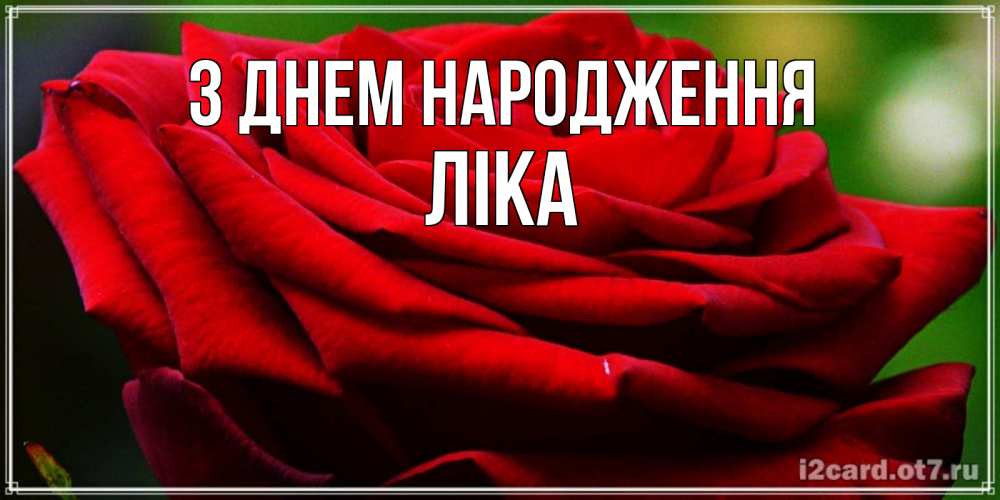Открытка на каждый день з підписом, Ліка З Днем народження розочка очень красивая Прикольна листівка з побажанням онлайн скачати безкоштовно 
