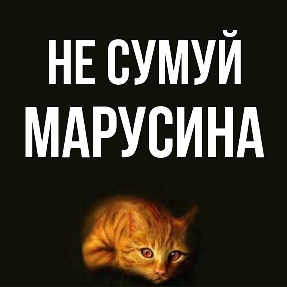 Открытка на каждый день з підписом, Марусина Не сумуй лежащий кот в темноте Прикольна листівка з побажанням онлайн скачати безкоштовно 