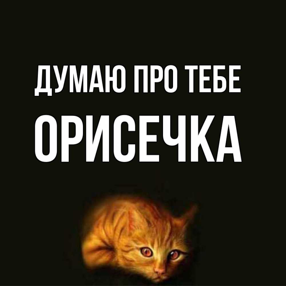 Открытка на каждый день з підписом, Орисечка Думаю про тебе рыжий Прикольна листівка з побажанням онлайн скачати безкоштовно 