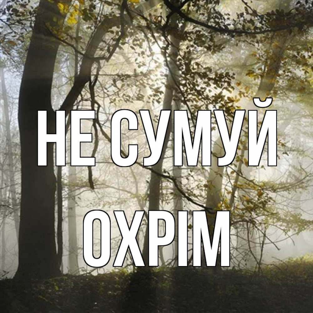 Открытка на каждый день з підписом, Охрім Не сумуй лес и свет Прикольна листівка з побажанням онлайн скачати безкоштовно 
