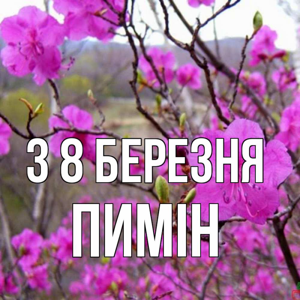 Открытка на каждый день з підписом, Пимін З 8 БЕРЕЗНЯ международный женский день Прикольна листівка з побажанням онлайн скачати безкоштовно 
