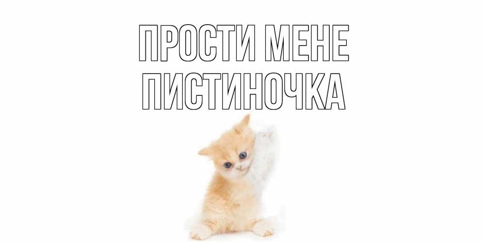 Открытка на каждый день з підписом, Пистиночка Прости мене кот Прикольна листівка з побажанням онлайн скачати безкоштовно 
