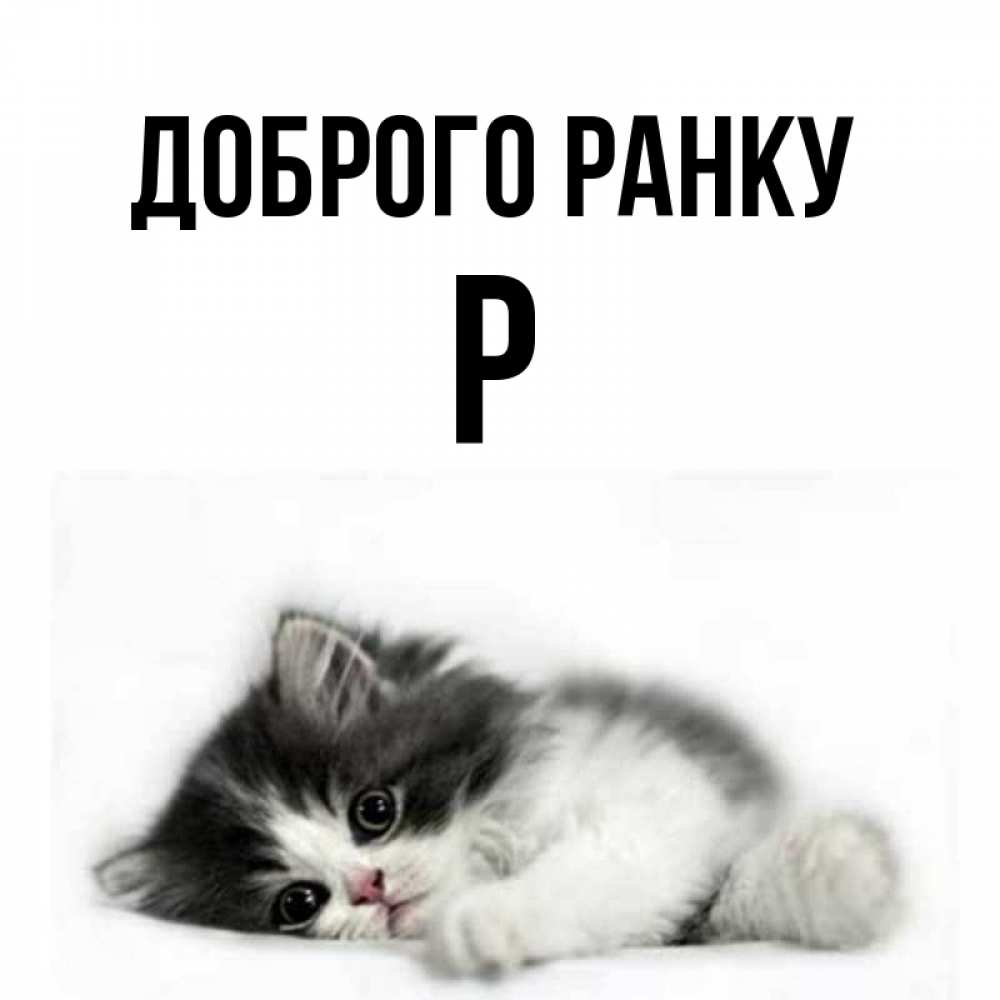 Открытка на каждый день з підписом, Р Доброго ранку кот лапки Прикольна листівка з побажанням онлайн скачати безкоштовно 