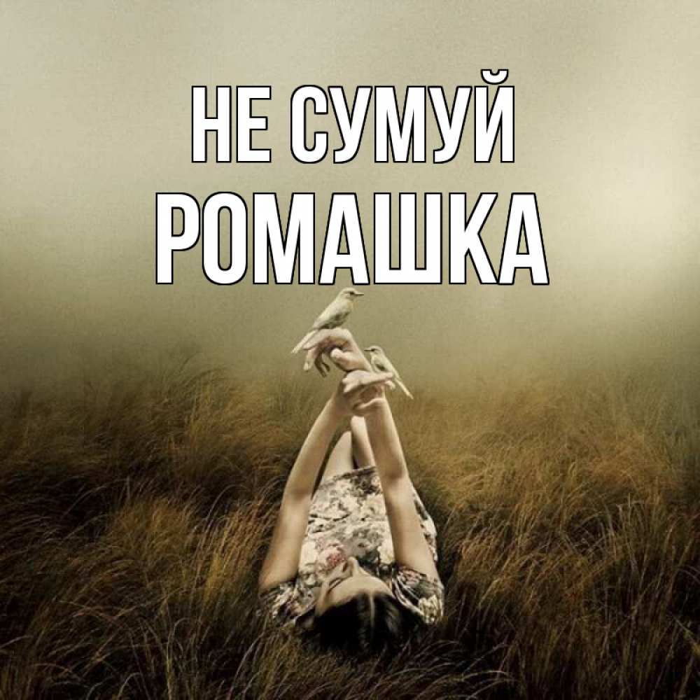 Открытка на каждый день з підписом, Ромашка Не сумуй поле и туман Прикольна листівка з побажанням онлайн скачати безкоштовно 