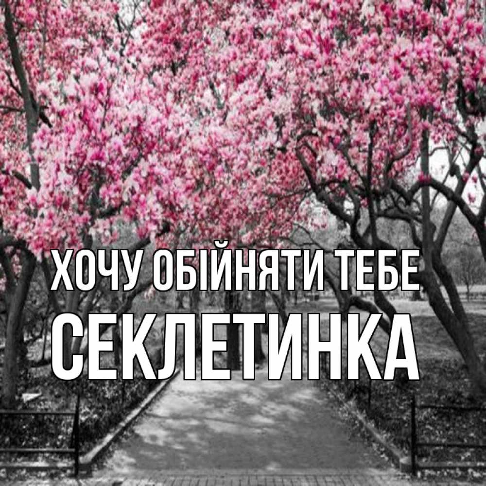 Открытка на каждый день з підписом, Секлетинка Хочу обійняти тебе обработанное фото Прикольна листівка з побажанням онлайн скачати безкоштовно 