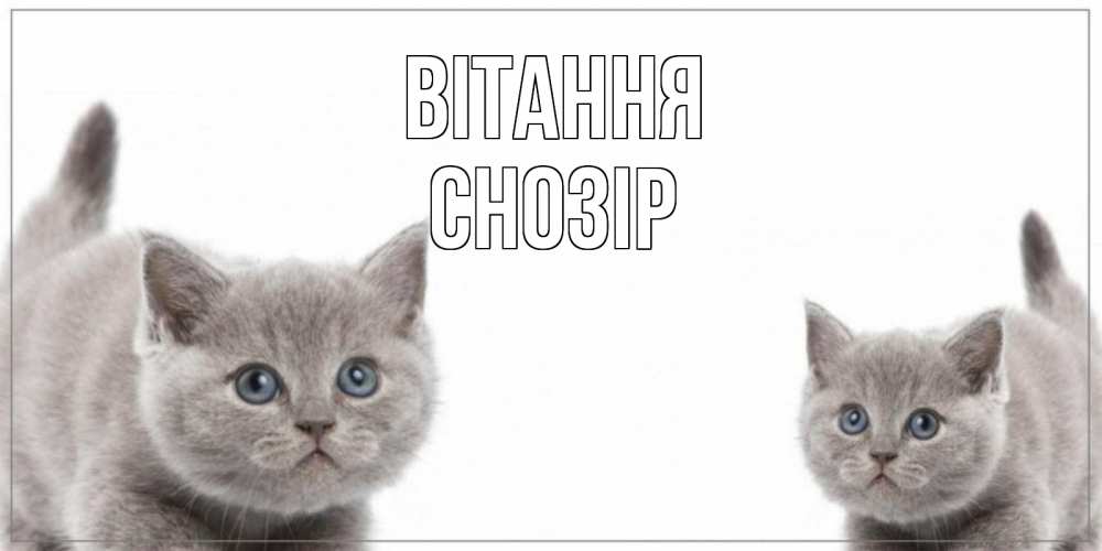 Открытка на каждый день з підписом, Снозір Вітання коты Прикольна листівка з побажанням онлайн скачати безкоштовно 