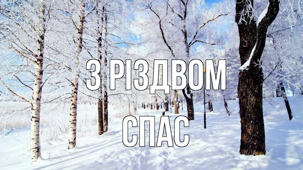 Открытка на каждый день з підписом, Спас З Різдвом зимний лес Прикольна листівка з побажанням онлайн скачати безкоштовно 