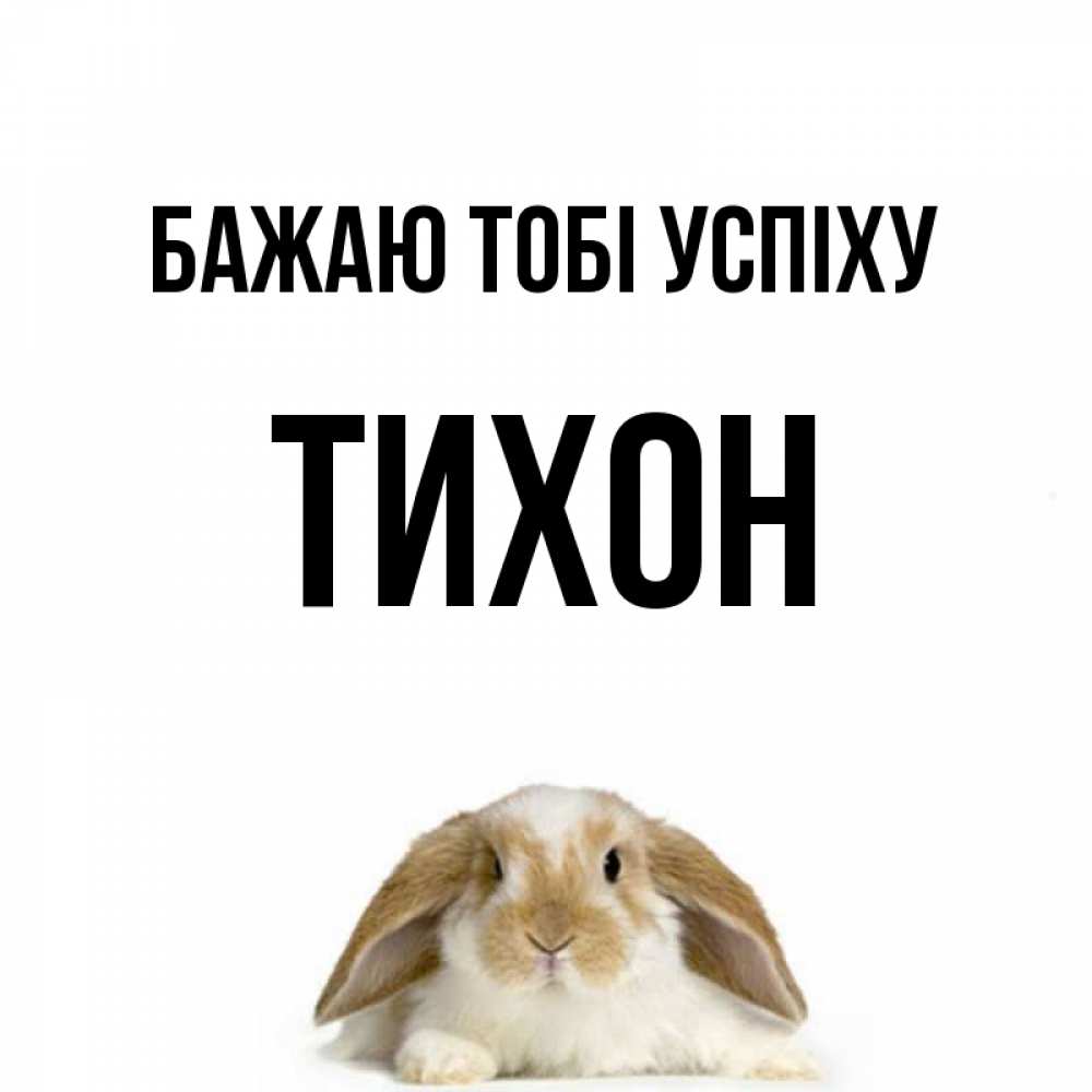 Открытка на каждый день з підписом, Тихон Бажаю тобі успіху открытки с произвольным текстом который можно вставить в открытку и создать ее самостоятельно бесплатно онлайн Прикольна листівка з побажанням онлайн скачати безкоштовно 