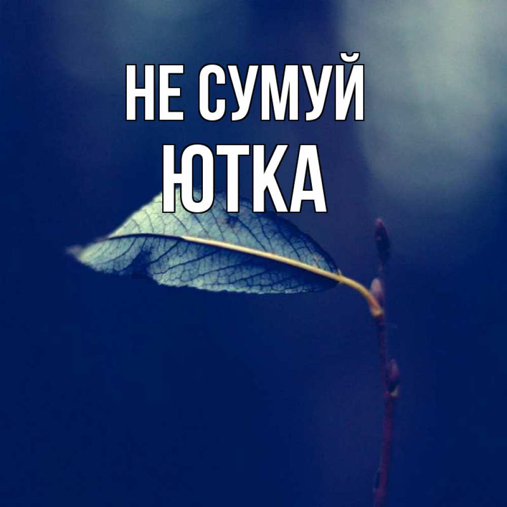 Открытка на каждый день з підписом, Ютка Не сумуй растение Прикольна листівка з побажанням онлайн скачати безкоштовно 
