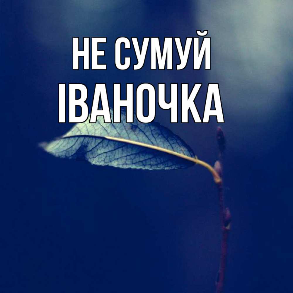 Открытка на каждый день з підписом, Іваночка Не сумуй растение Прикольна листівка з побажанням онлайн скачати безкоштовно 