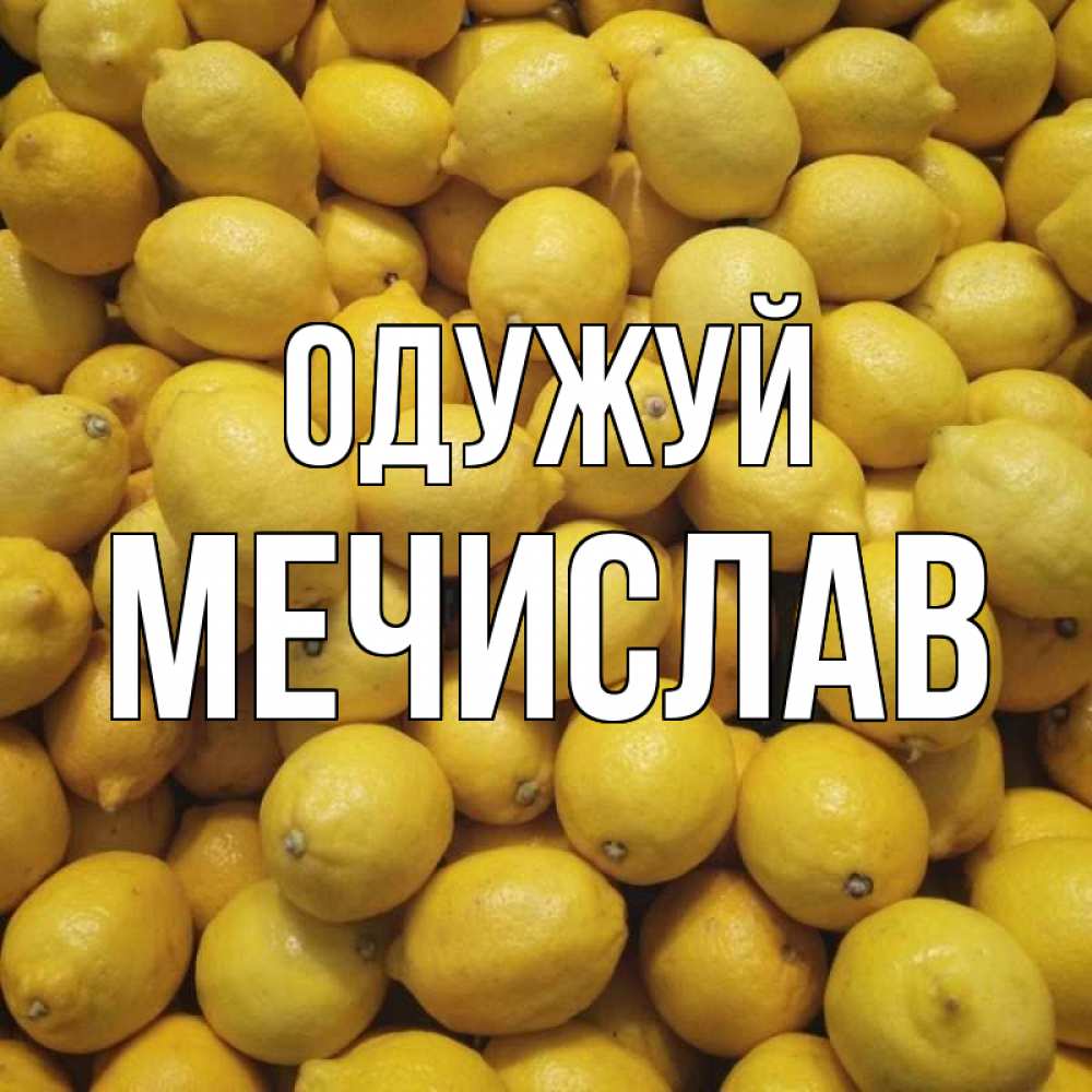 Открытка на каждый день з підписом, Мечислав Одужуй это точно поможет Прикольна листівка з побажанням онлайн скачати безкоштовно 