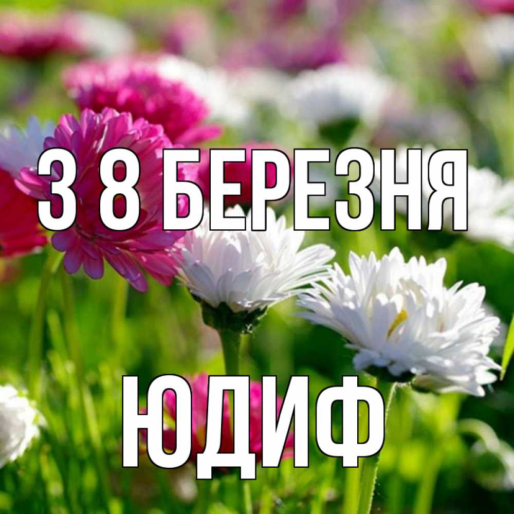 Открытка на каждый день з підписом, Юдиф З 8 БЕРЕЗНЯ международный женский день 1 Прикольна листівка з побажанням онлайн скачати безкоштовно 
