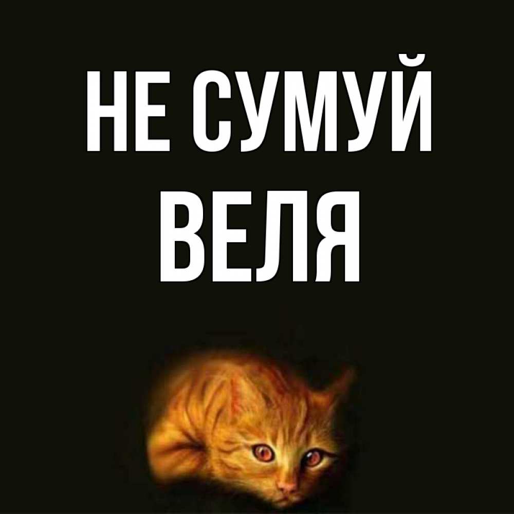 Открытка на каждый день з підписом, Веля Не сумуй лежащий кот в темноте Прикольна листівка з побажанням онлайн скачати безкоштовно 