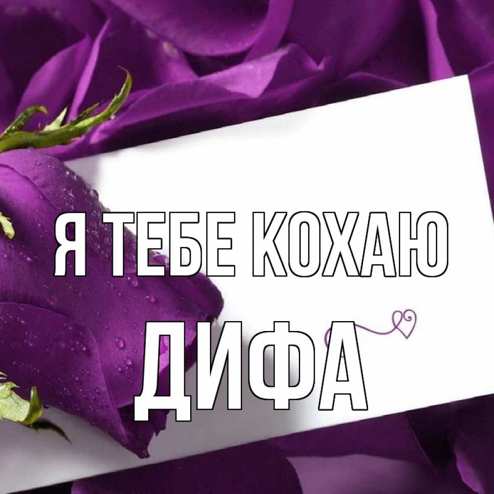 Открытка на каждый день з підписом, Дифа Я тебе кохаю роза Прикольна листівка з побажанням онлайн скачати безкоштовно 