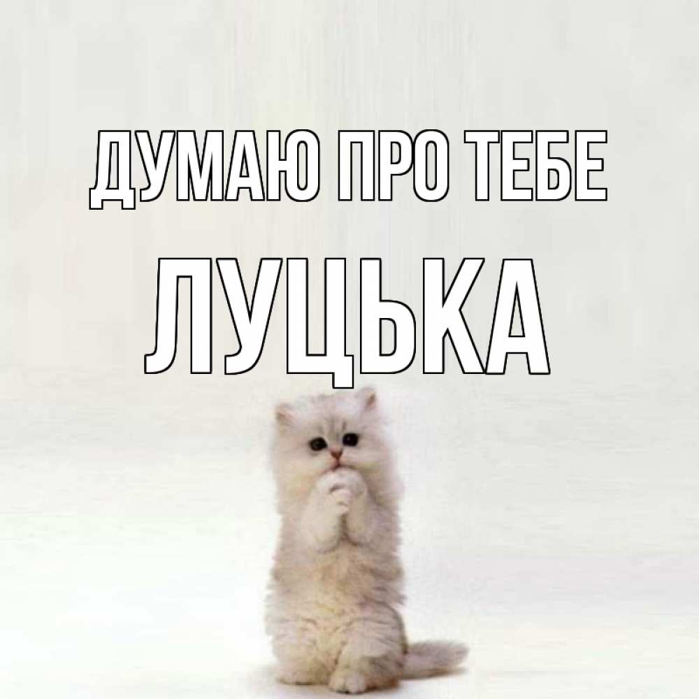 Открытка на каждый день з підписом, Луцька Думаю про тебе кот стоит на задних лапах Прикольна листівка з побажанням онлайн скачати безкоштовно 