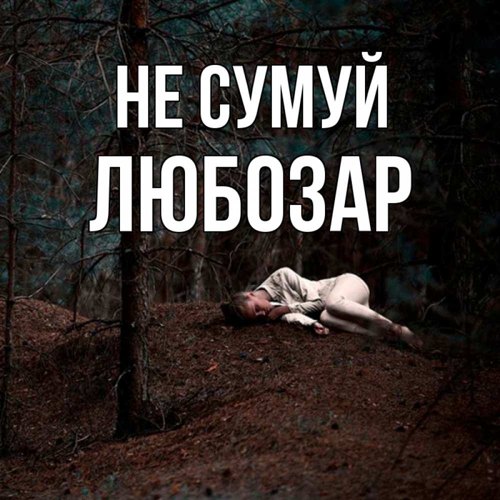 Открытка на каждый день з підписом, Любозар Не сумуй лес Прикольна листівка з побажанням онлайн скачати безкоштовно 