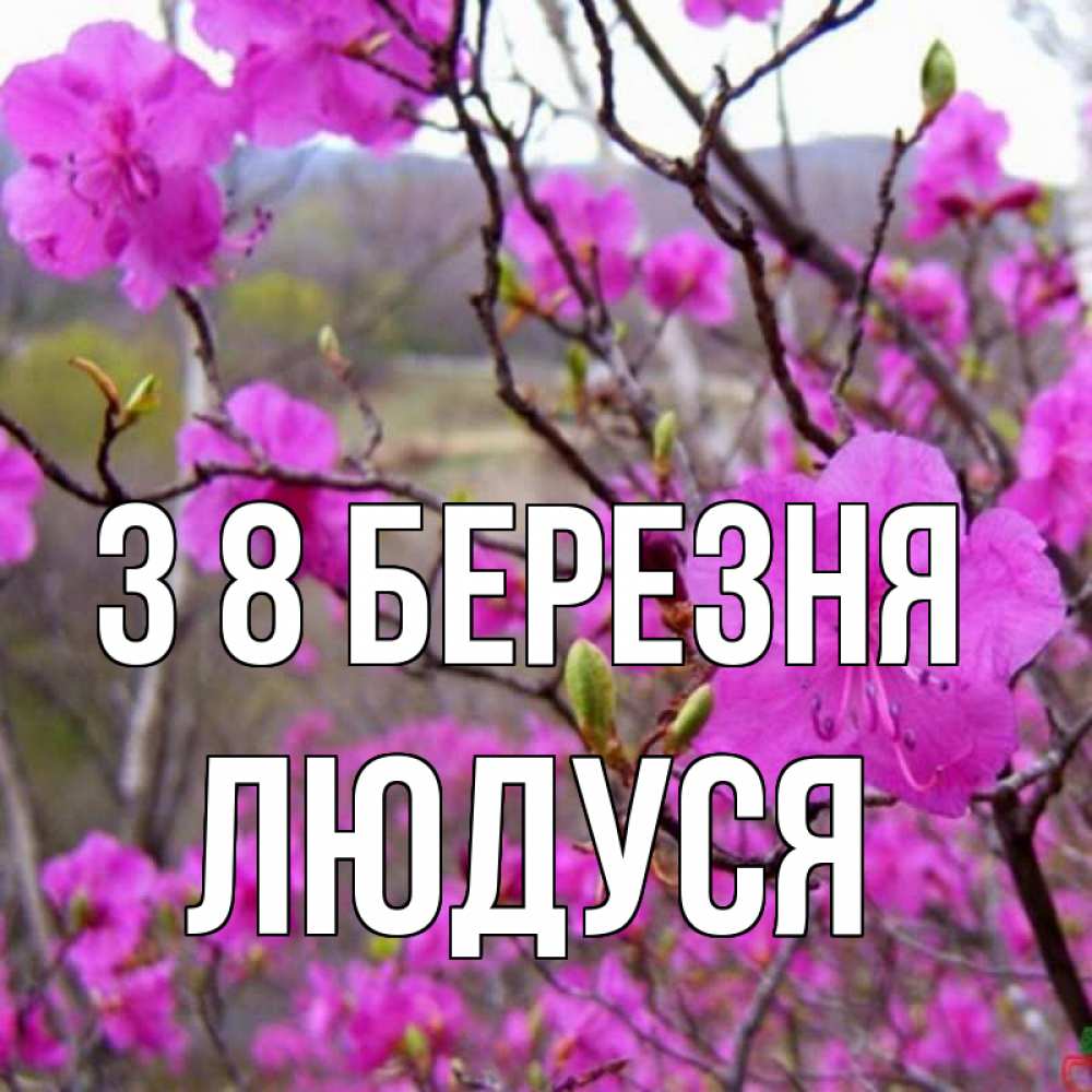 Открытка на каждый день з підписом, Людуся З 8 БЕРЕЗНЯ международный женский день Прикольна листівка з побажанням онлайн скачати безкоштовно 