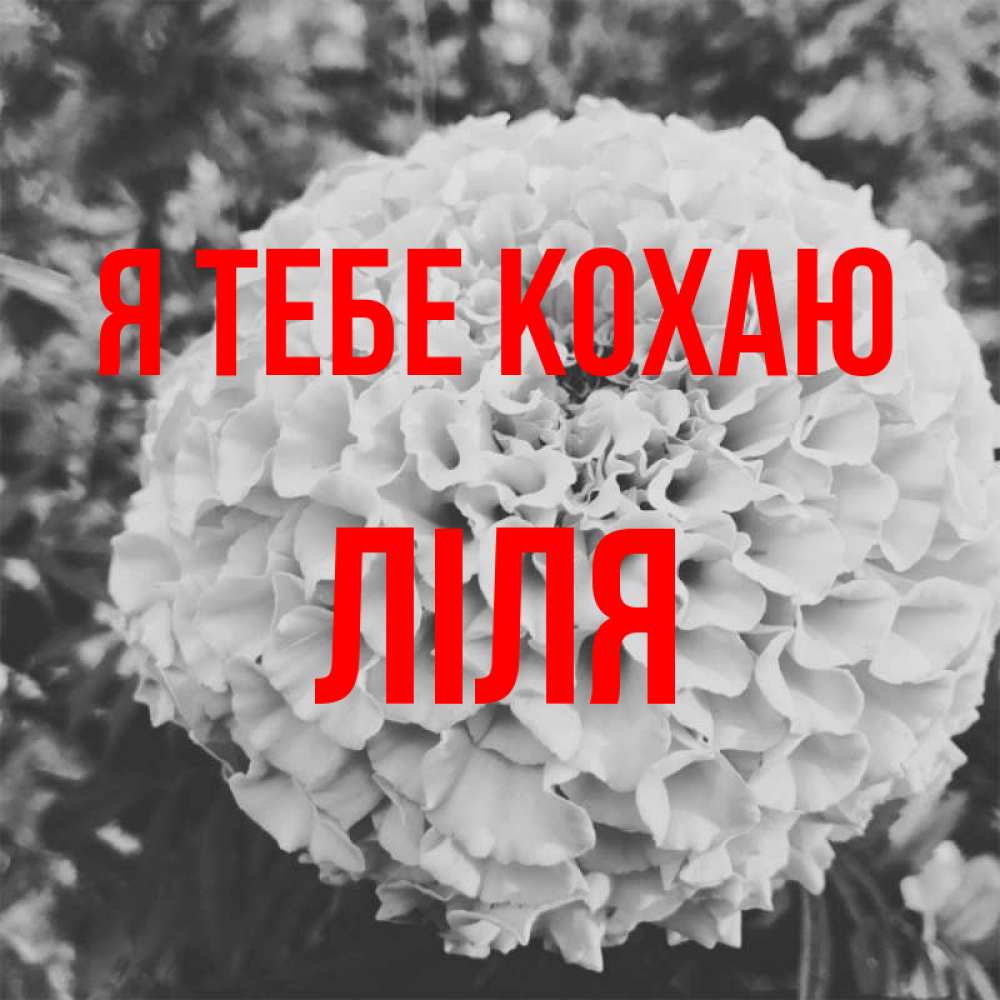Открытка на каждый день з підписом, Ліля Я тебе кохаю подпись Прикольна листівка з побажанням онлайн скачати безкоштовно 