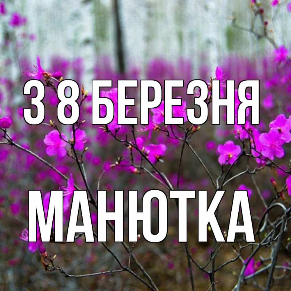 Открытка на каждый день з підписом, Манютка З 8 БЕРЕЗНЯ дикие цветы Прикольна листівка з побажанням онлайн скачати безкоштовно 