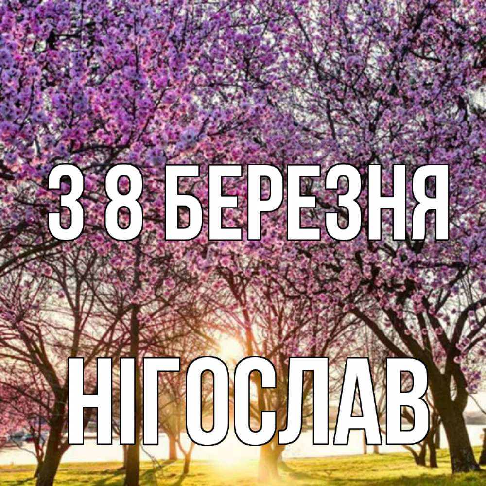 Открытка на каждый день з підписом, Нігослав З 8 БЕРЕЗНЯ международный женский день Прикольна листівка з побажанням онлайн скачати безкоштовно 